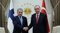 Finlandiya Cumhurbaşkanı Sauli Niinisto ve Cumhurbaşkanı Recep Tayyip Erdoğan