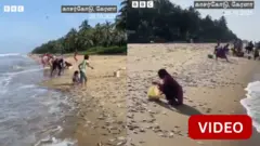 கரை ஒதுங்கிய மீன்கள்