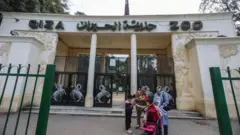 حديقة حيوانات الجيزة في مصر 