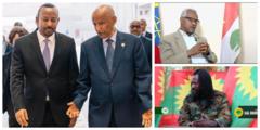 Kongireensii Federalawaa Oromoo fi ABO-WBO Marii Biyyaalessaa gaggeeffamaa jiru irratti maal jedhan?