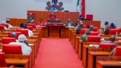 Nigeria senate for plenary