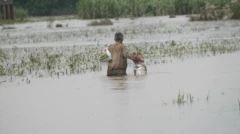 سیلاب، وسطی پنجاب، راوی، چناب