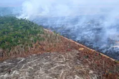 Foto aérea mostra uma parte de floresta e outra parte desmatada por fogo