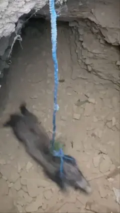 گراز درون گودال