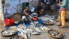 স্বাদু পানির মাছ উৎপাদনে বাংলাদেশ বিশ্বে তৃতীয় অবস্থানে রয়েছে