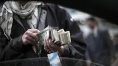 dollar