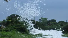 நொய்யல் ஆறு, கோவை, நொய்யல், நதி, கோவை குற்றாலம்