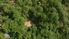 పిల్లలమర్రి