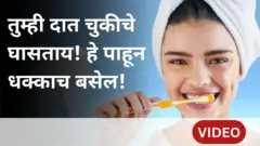 Oral Health