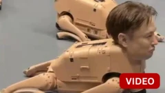 ஈலோன் மஸ்க், மார்க் ஸக்கர்பர்க் முக அமைப்பில் ரோபோ நாய்கள்