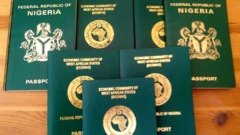 Aworan iwe irinna Naijiia meje lori tabili