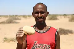 Xoola dhaqatada ayaa walaac ka muujinaya geedkan Xajiinka ah oo ay aaminsanyihiin inuu sababay xanuunkaan xoolaha ku dhacay