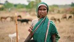 બીબીસી ગુજરાતી, ગુજરાત, આદિવાસી, જંગલની જમીનના અધિકાર, આદિવાસી સંસ્કૃતિ, ન્યાયતંત્ર, સુપ્રીમ કોર્ટ