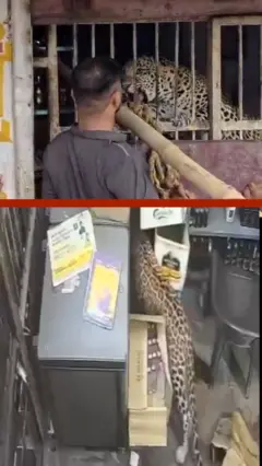 هند