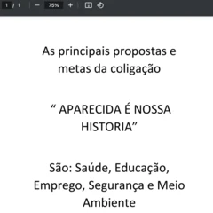 Os candidatos a prefeito que usam propostas idênticas em planos de governo; "Nada se cria, tudo se copia", diz autor de plano 3 Imagem de proposta de candidato a prefeito apresentada ao TSE