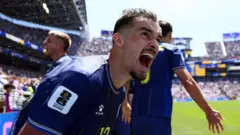 bosna i hercegovina, svetsko prvenstvo u fudbalu