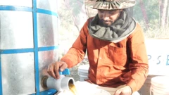 ਸ਼ਹਿਦ ਕੰਟੇਨਰਾਂ ਵਿੱਚ ਭਰ ਰਹੇ ਸ਼ਖਸ ਦੀ ਤਸਵੀਰ