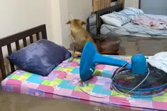 เหตุการณ์น้ำท่วมรีสอร์ตแห่งหนึ่งใน ต.หินตั้ง อ.เมือง จ.นครนายก เมื่อช่วง 02.00 น. วันนี้ (5 ส.ค.)