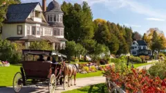 மேக்கினாக் தீவி