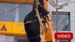 இரண்டாவது மாடியில் தவித்த பசு 