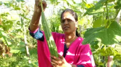 இயற்கை விவசாயத்தில் சாதிக்கும் பட்டதாரி பெண் 