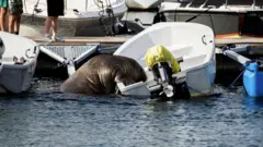 Freya bota tırmanırken