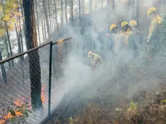 नेपाल डढेलो नियन्त्रण