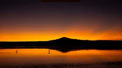 Entardecer em um lago com duas aves à distância