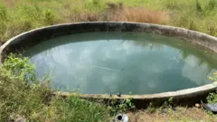 विहीर
