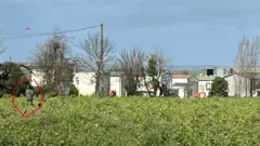 foto de uma pessoa caminhando de costas, numa paisagem de casas e folhagens.