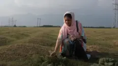 ऑर्गेनिक साबुन 