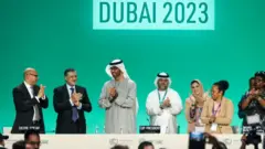 cop 28