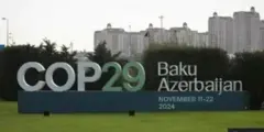 COP29