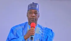 Gwamnan Borno
