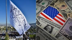 Taliban - USA flag with dollars