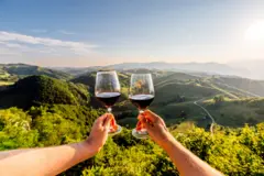 वाइन के ग्लास