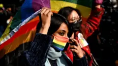 ਸਮਲਿੰਗੀ