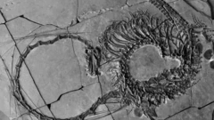 24 கோடி ஆண்டுகளுக்கு முந்தைய ‘டிராகன்’