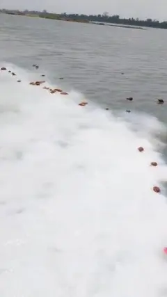 नर्मदा नदी में बहाया गया दूध