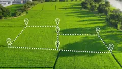 प्रातिनिधिक फोटो