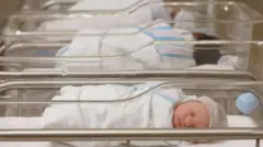 Bebês em berços de maternidade