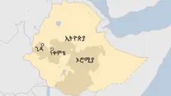 ጥቃተ የደረሰበትን አካባቢ የሚያሳይ ካርታ