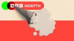 A treated image showing a black and white ice cream melting onto a red and cream background