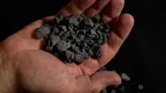 كيف ستكون عينات بينو ؟ 