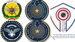 ትካላት ኣባላት ሓይሊ ዕማም