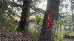 उत्तराखंड