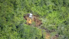 Posnetki iz zraka prikazujejo buldožerje, ki sekajo drevesa in vegetacijo za nasade oljnih palm v Kalimantanu.