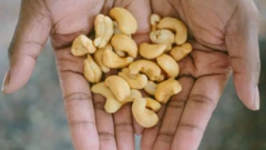 Hoton kwallon yazawa a hannu