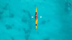 Bacalar
