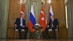 Erdoğan Putin Taxıl sazişi Taxıl Dəhlizi Rusiya-Ukrayna müharibəsi 